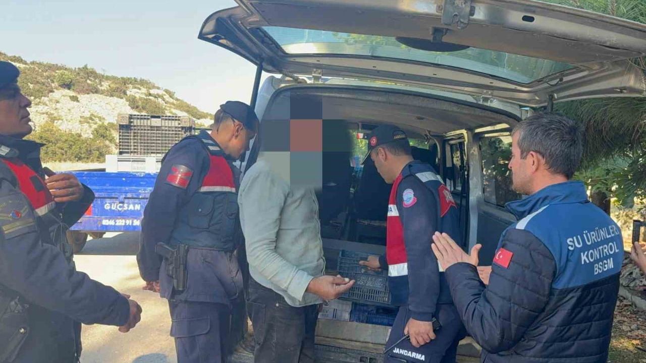 Eğirdir'de belgesiz taşınan 50 kilo gümüşi havuz balığına el kondu