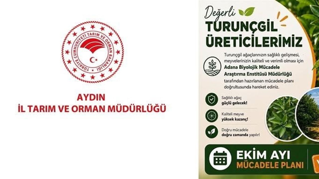 Ekimde Aydın'da turunçgil bahçeleri için zamanlı bakım ve biyolojik mücadele çağrısı