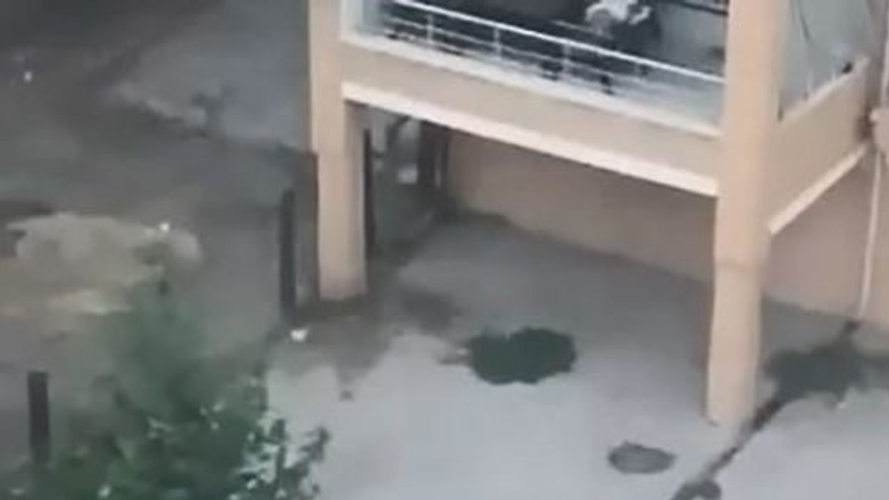 Elazığ'da araya giren kişi grup tarafından öldüresiye darp edildi