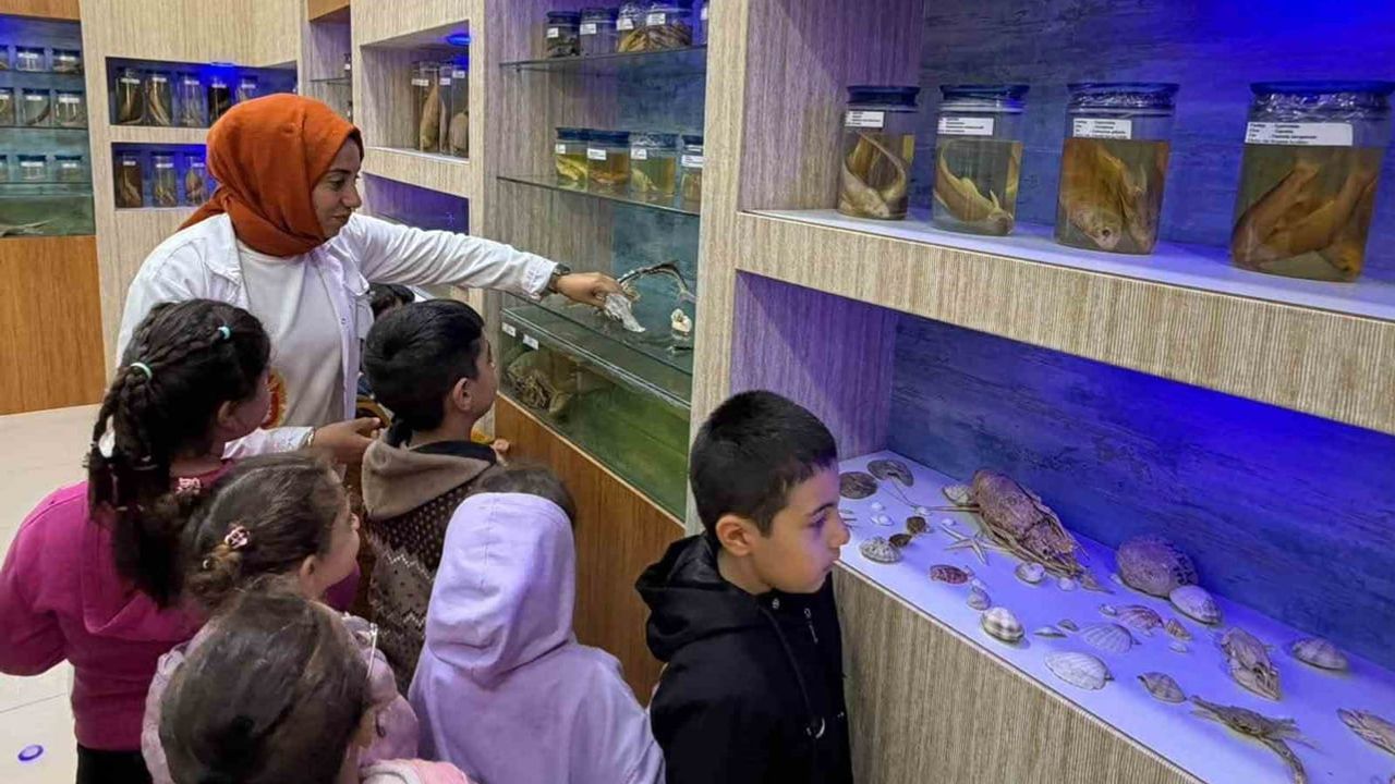 Elazığ'da minikler su altı dünyasını tanıdı