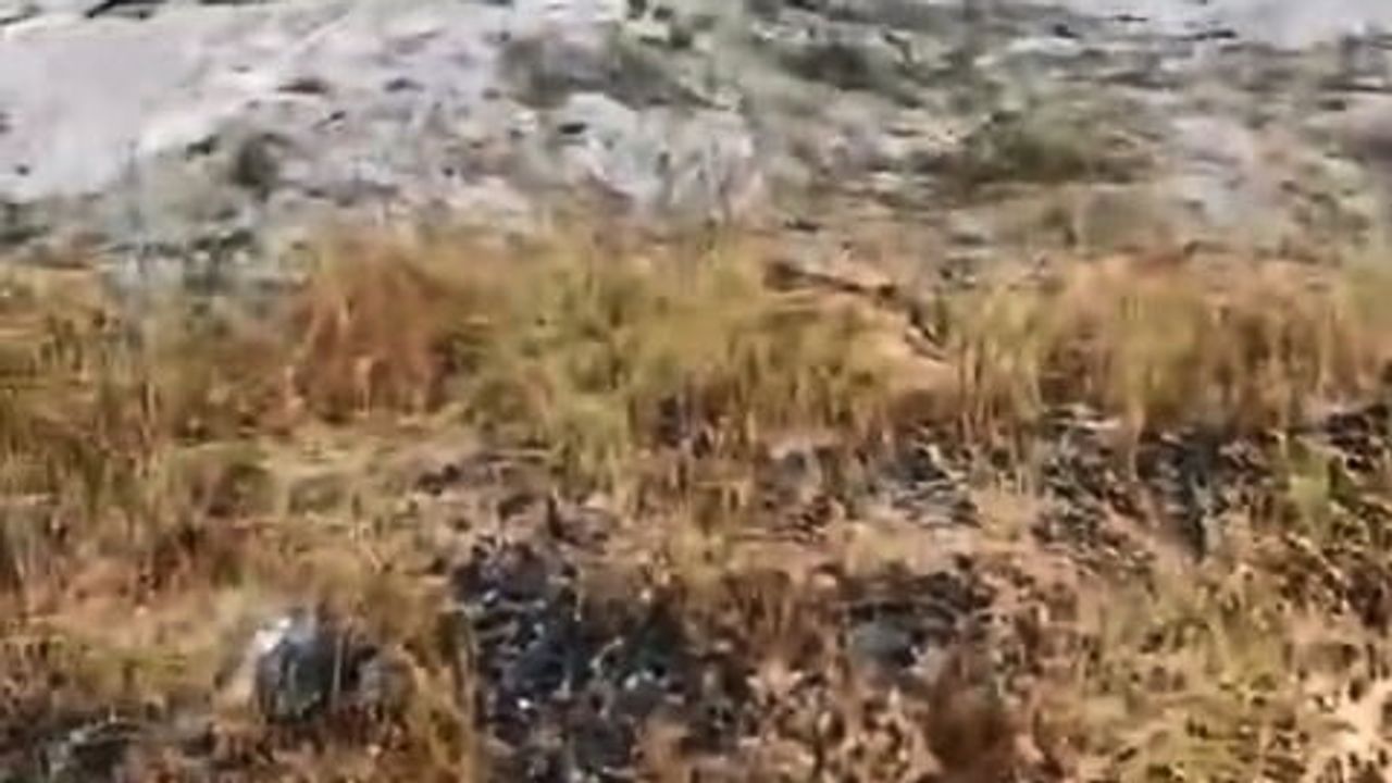 Elazığ'da sağanak sonrası Palu'nun Kırbulak köyünde sel görüntüleri