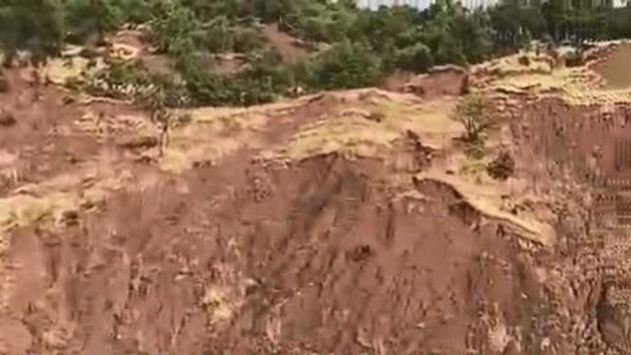 Elazığ'da taşkın otlayan inekleri arazide mahsur bıraktı