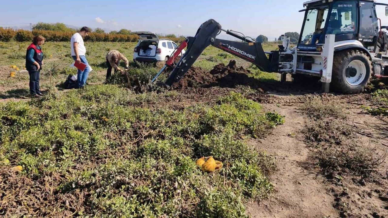 Elazığ’da toprak varlığı haritalanıyor, tarımsal planlamaya bilimsel altyapı sağlanacak