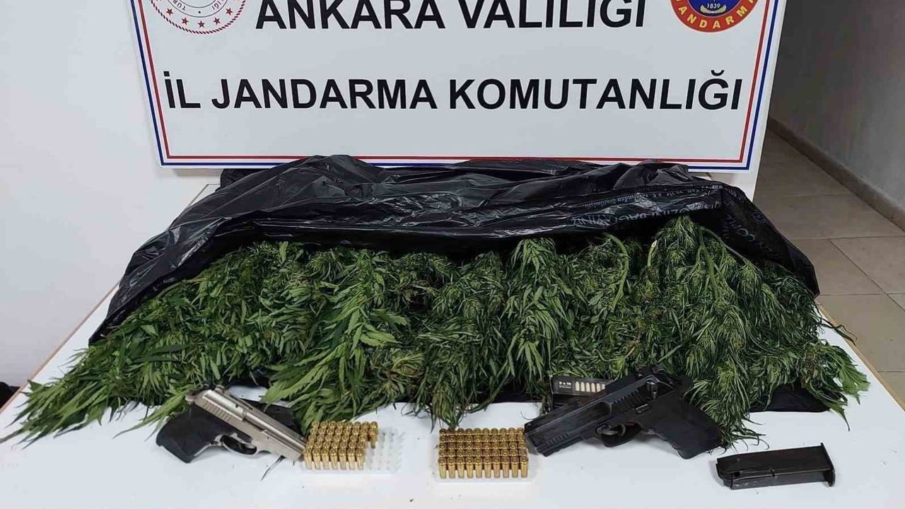 Elmadağ'da 2 kilo 600 gram skunk yakalandı, bir şüpheli gözaltında