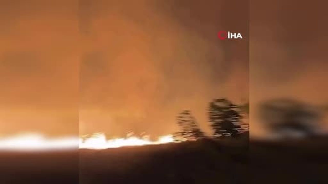 Endonezya'nın en ağır yangın dalgası: Bromo Tengger Semeru Milli Parkı'nda dört can kaybı