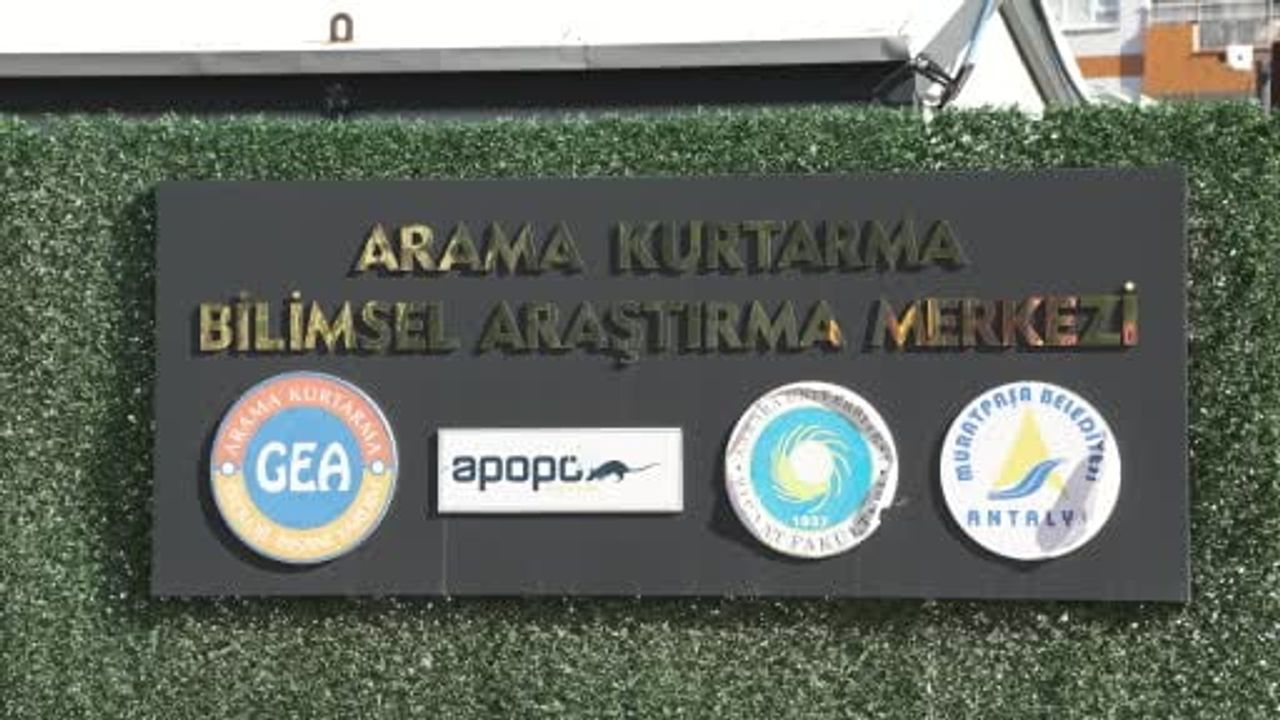 Enkazda iz bırakan kahramanlar: insan kokusunu ayırt eden farelerle kurtarma çalışmaları