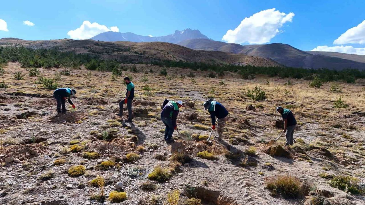 Erciyes eteklerinde doğaya nefes veren ağaçlandırma hamlesi