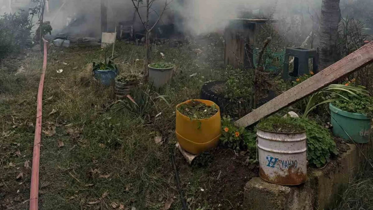 Erdek'te zeytinlik içindeki müstakil evde yangın