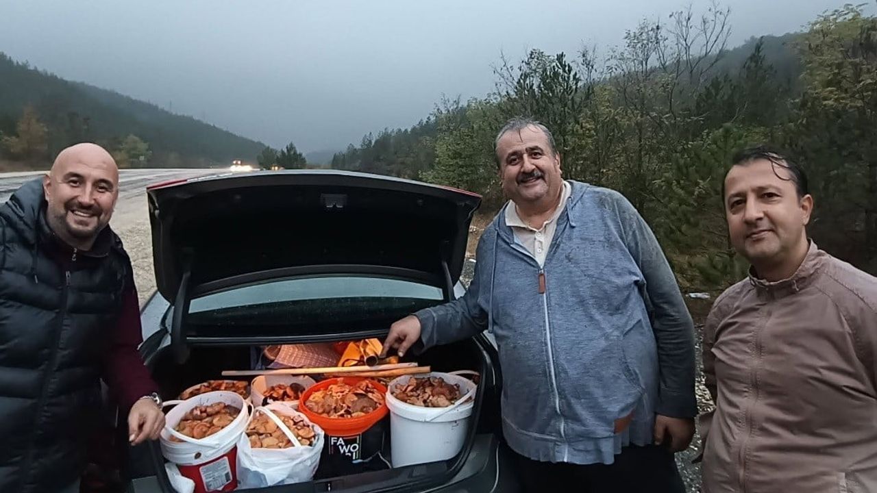 Erken yağışlar Kütahyalıları Bursa'nın Orhaneli dağlarında melki toplamaya yönlendirdi