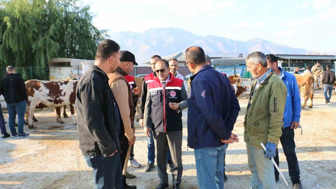 Erzincan'da üreticilere sonbahar şap aşısı çağrısı