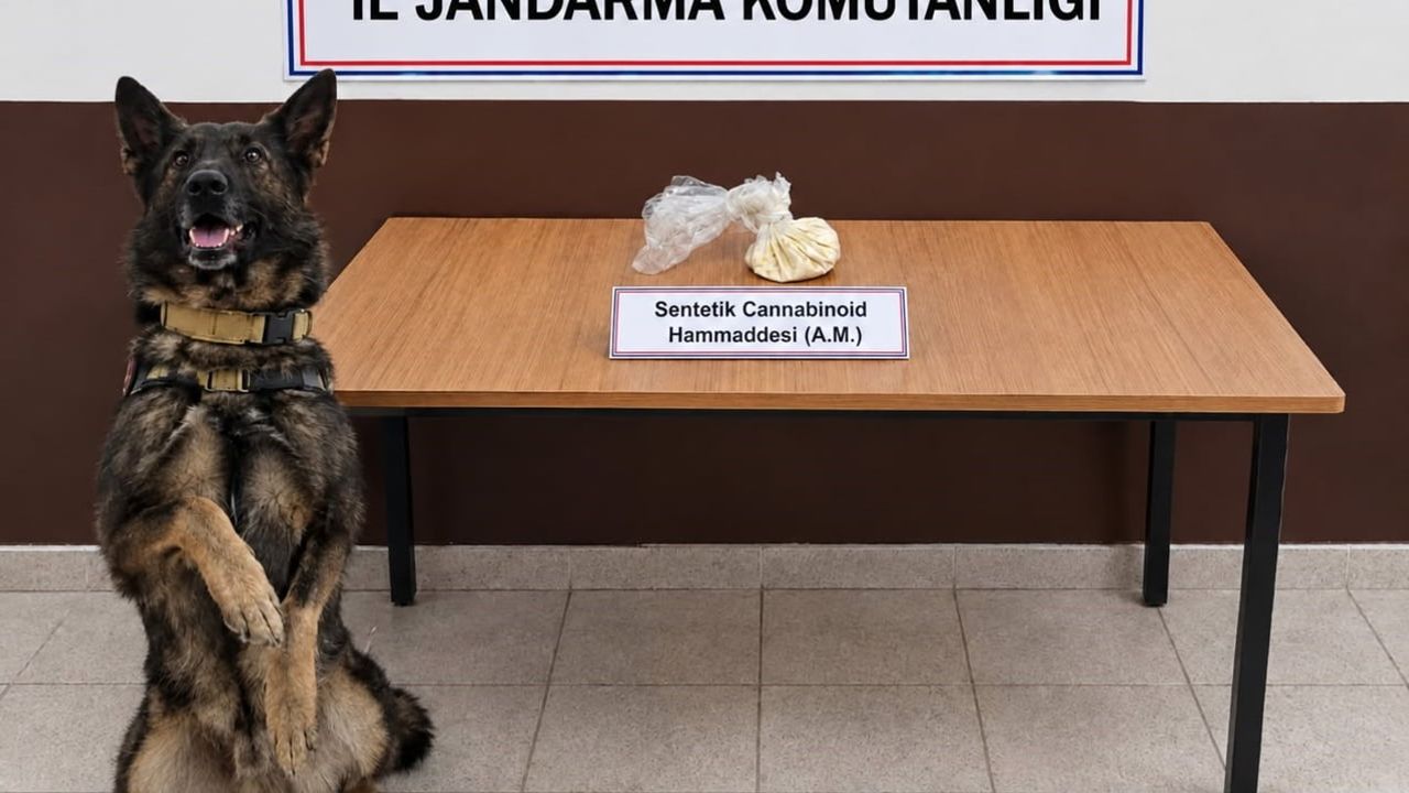 Erzincan'da yol kontrolünde skunk, ev aramalarında bonzai hammaddesi ele geçirildi