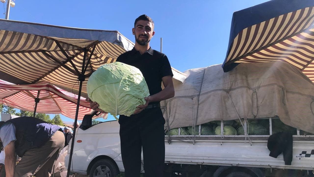 Erzincan tezgahlarında kışın iki rengi: turşuluk ve yemeklik lahana
