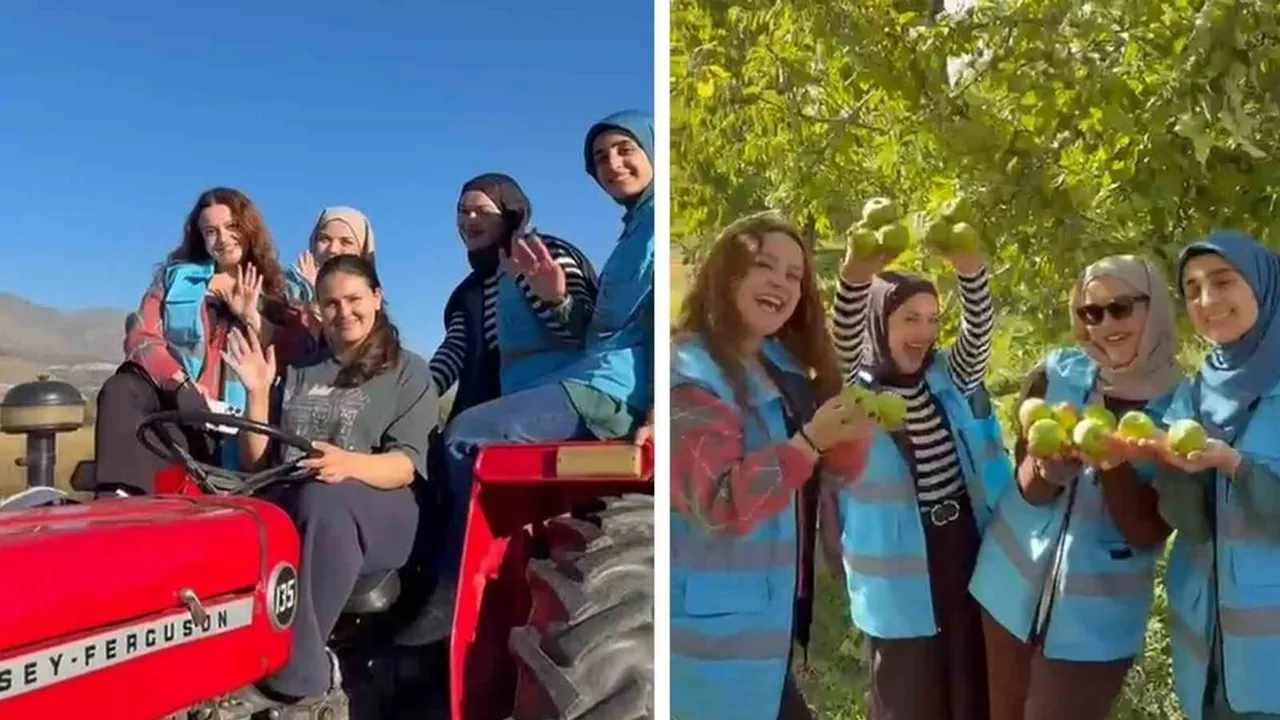 Erzincanlı öğrenciler Üzümlü bağlarında hasatla tarımı keşfetti