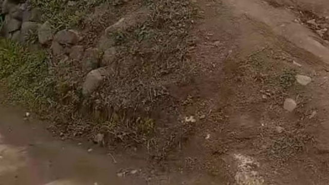 Esentepe'de soba yangını: aile evin küle dönüşünü gözyaşlarıyla izledi