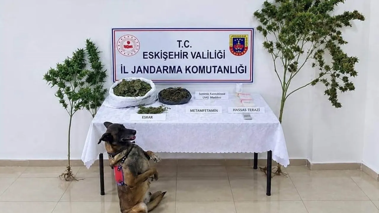 Eskişehir'de Tepebaşı'nda jandarmadan uyuşturucuya darbe: bir tutuklama