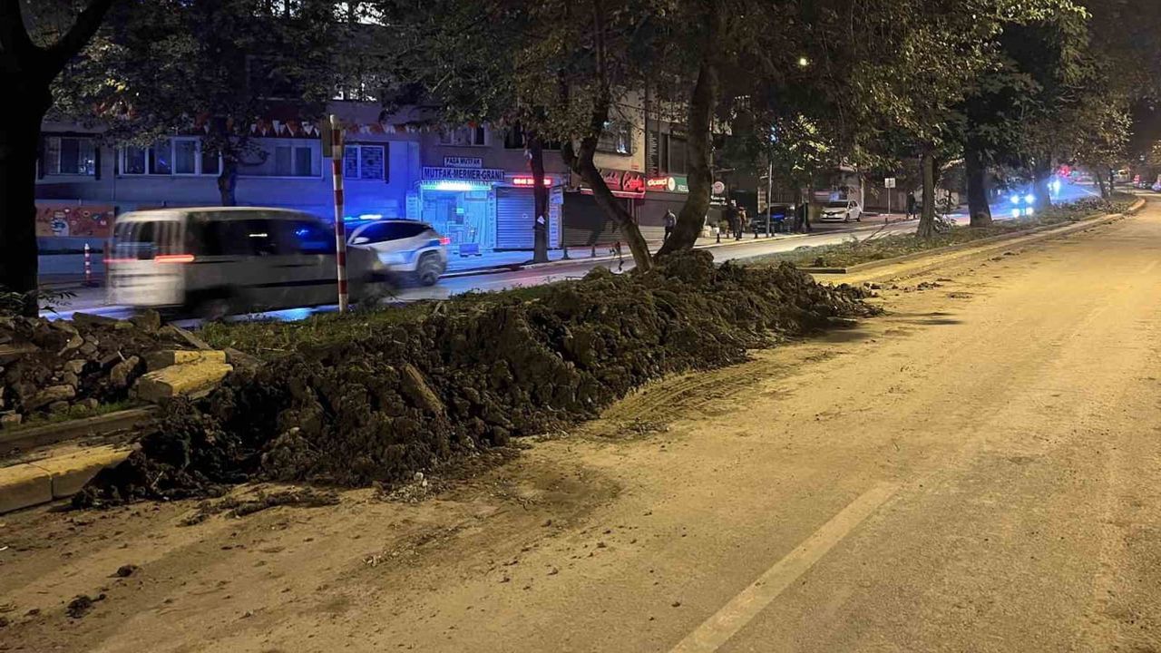 Eyüpsultan’da asırlık ağaçların gece kesildiği iddiası semti ayağa kaldırdı