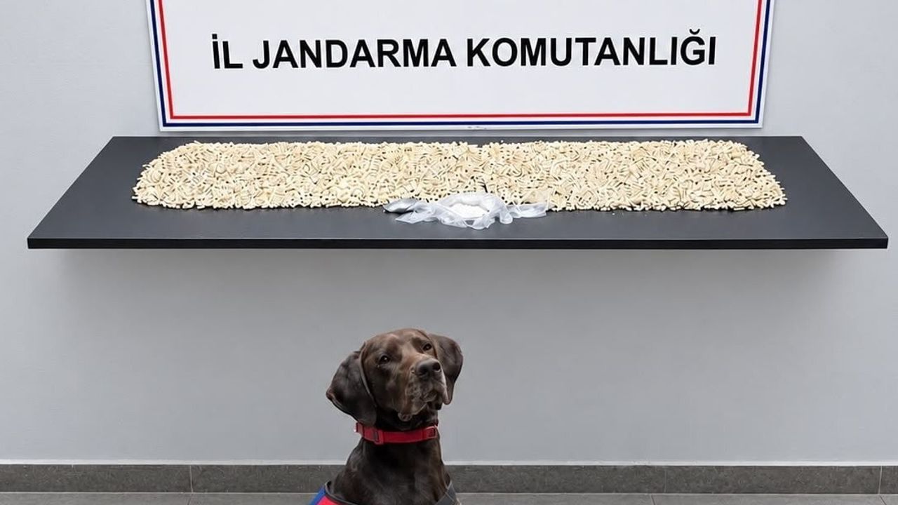 Eyyübiye'de ikamet aramasında binlerce captagon ve metamfetamin bulundu