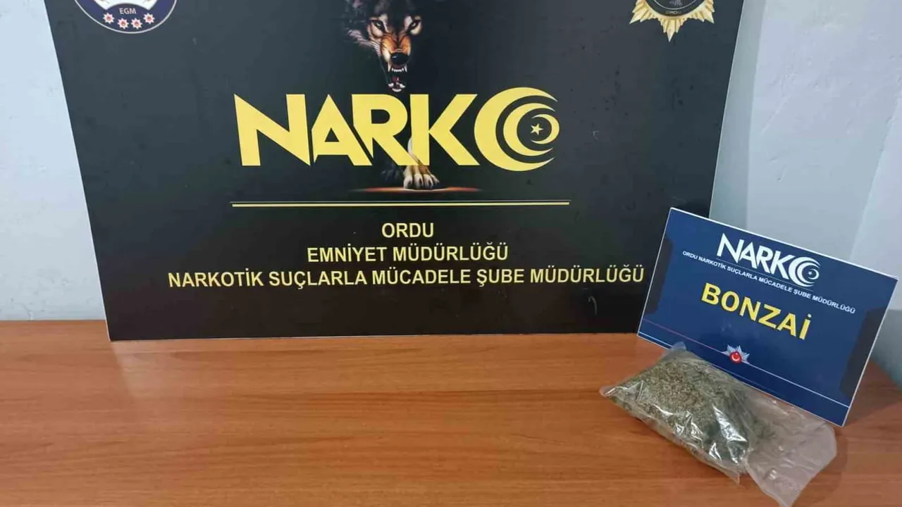 Fatsa'da aracında sentetik uyuşturucu bulunan şüpheli tutuklandı
