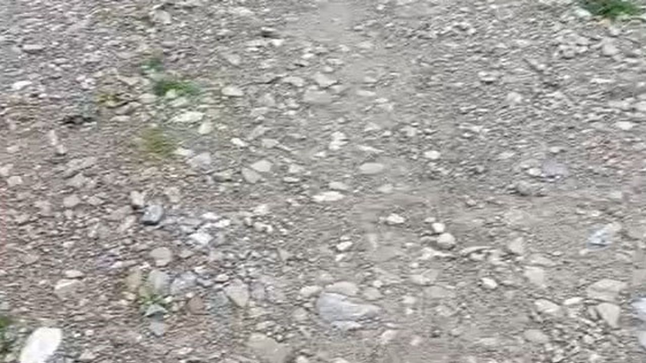 Felçli 67 yaşındaki adam tedaviye erişimini engelleyen köy yolunun düzeltilmesini talep ediyor