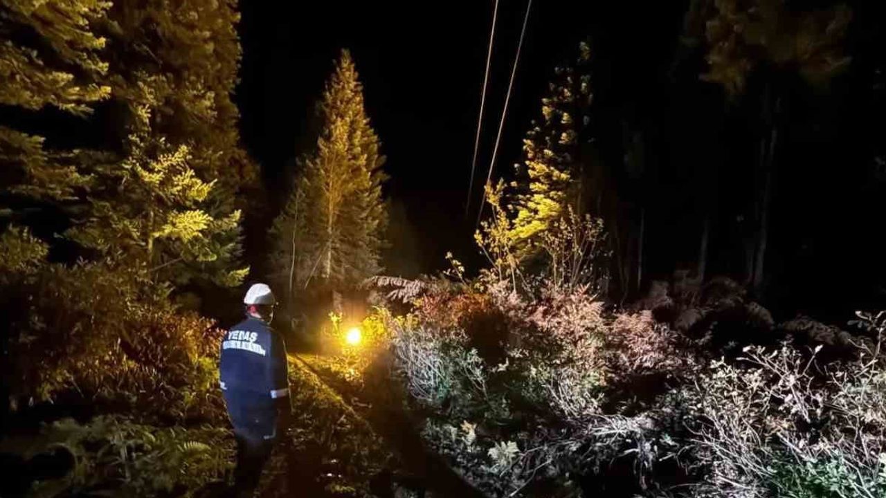 Fırtına hasarını onaran ekipler Sinop'ta enerjiyi yeniden sağladı