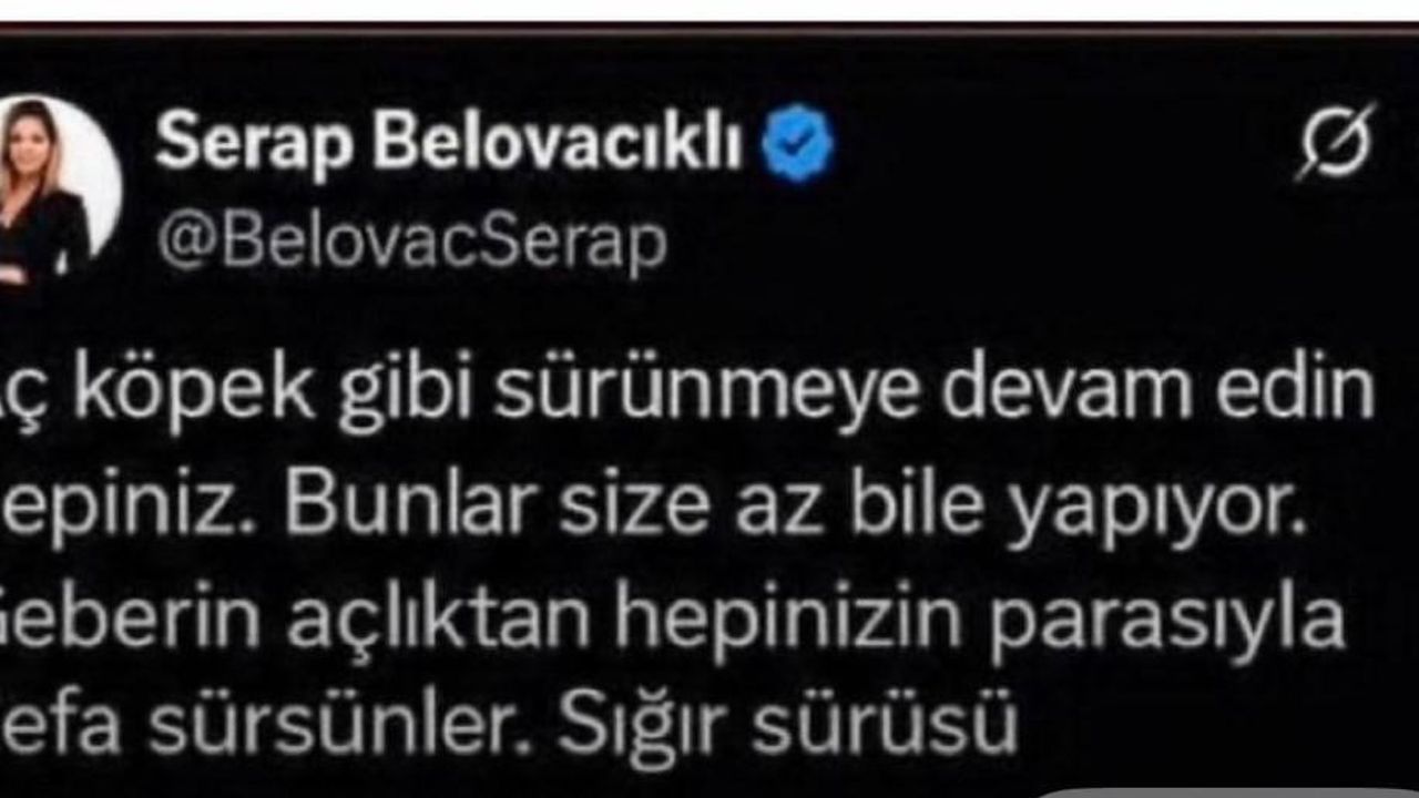 Gazeteci Serap Belovacıklı'nın sosyal medya paylaşımı soruşturma konusu oldu