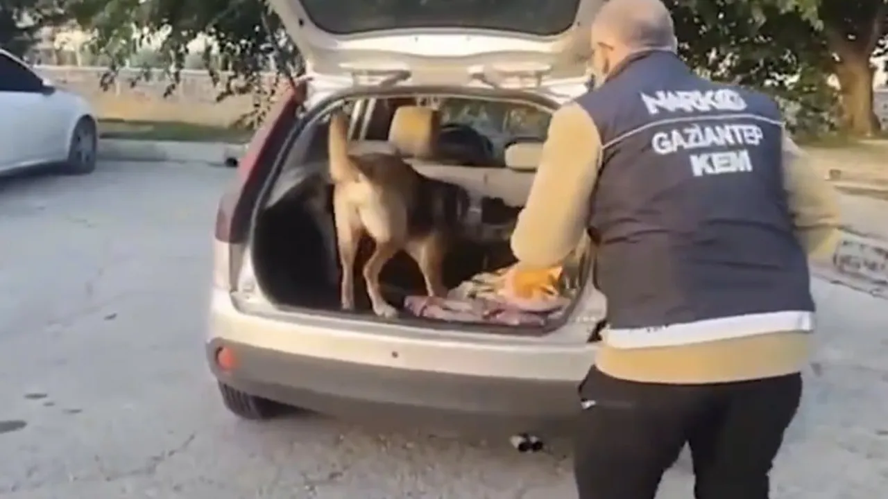 Gaziantep'te narkotik köpeğinin izi 1 kilo metamfetamini ortaya çıkardı