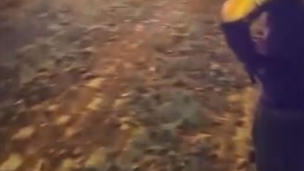 Gece çıkan yangın Güreşen köyünde evi harap etti