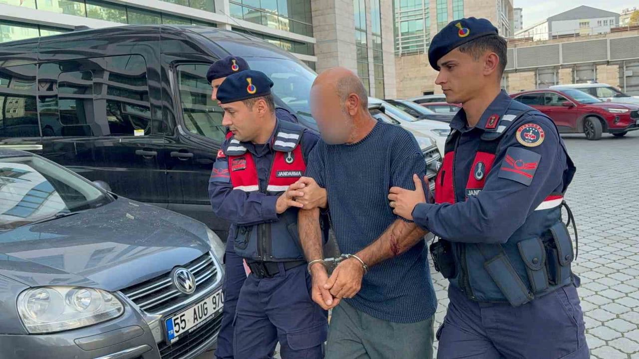 Gece devriyesi fark etti: orman envanterlerini aracına yüklerken yakalandı
