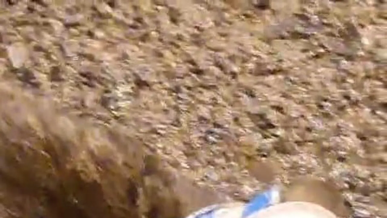 Gece yolunu itfaiyeye çeviren kedi, ayran kutusundan kurtarıldı