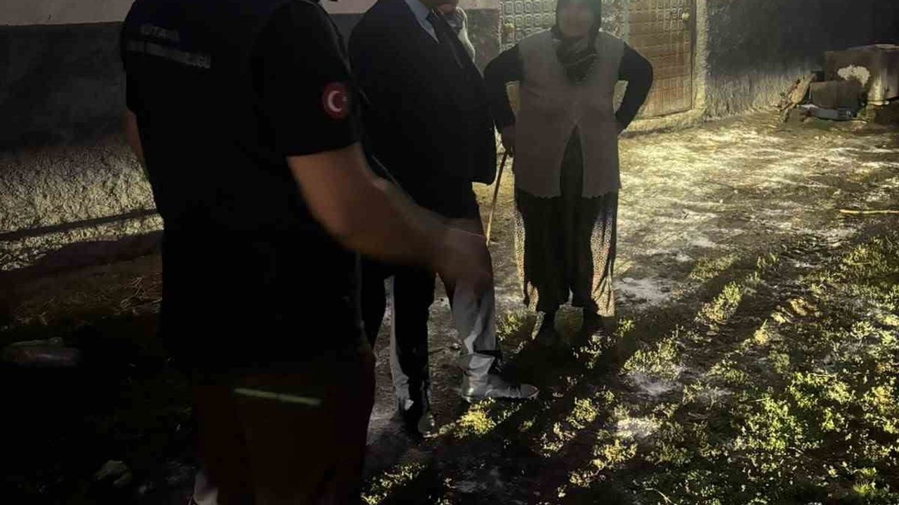 Gediz'de 95 gebe damızlıkla köy ekonomisine güç
