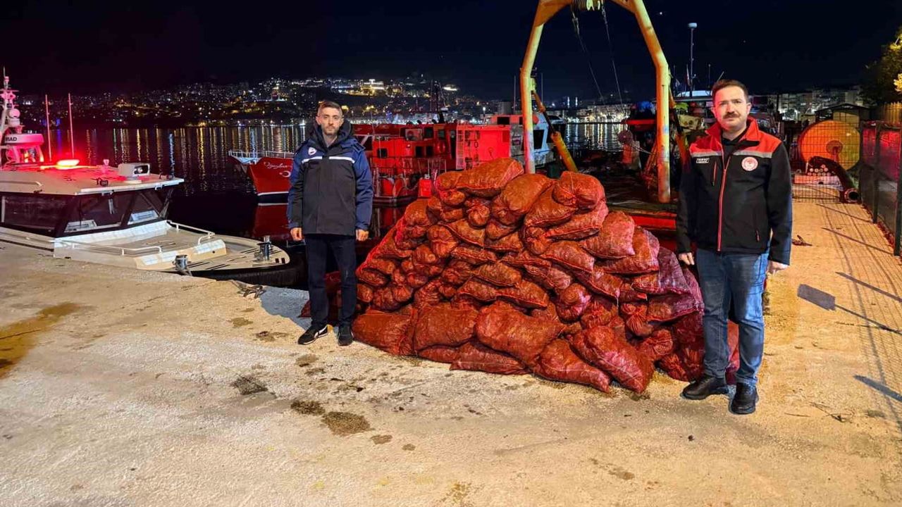 Gemlik Kumsaz'da kaçak midye avcılığına ağır darbe