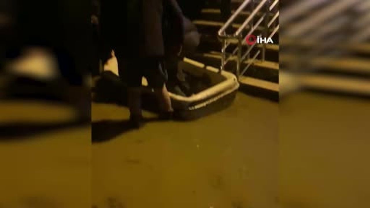 gençlerin kayığı, camide mahsur kalan imam ve cemaati selden taşıdı