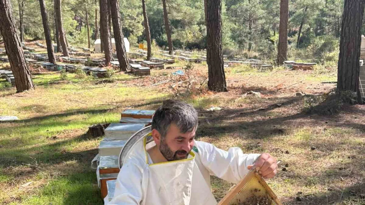 Gezgin arıcının uyarısı: mevzuat yeterli kaliteyi garantilemez