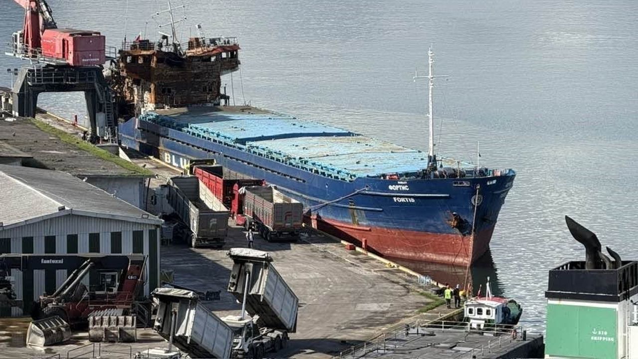 Giresun limanına yanaştırılan Fortis'te çevresel kaygılar arttı