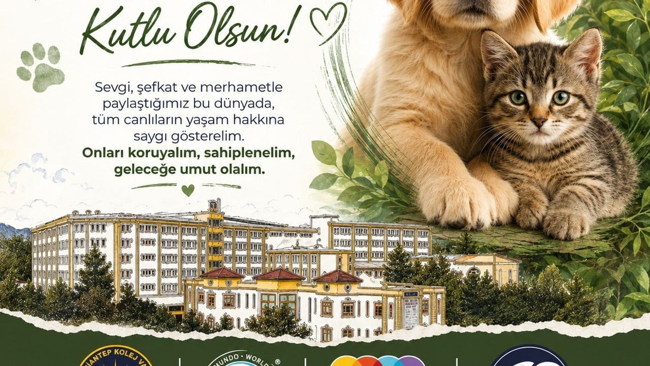 GKV'li öğrencilerden okul bahçesindeki sokak kedilerine örnek sağlık çalışması