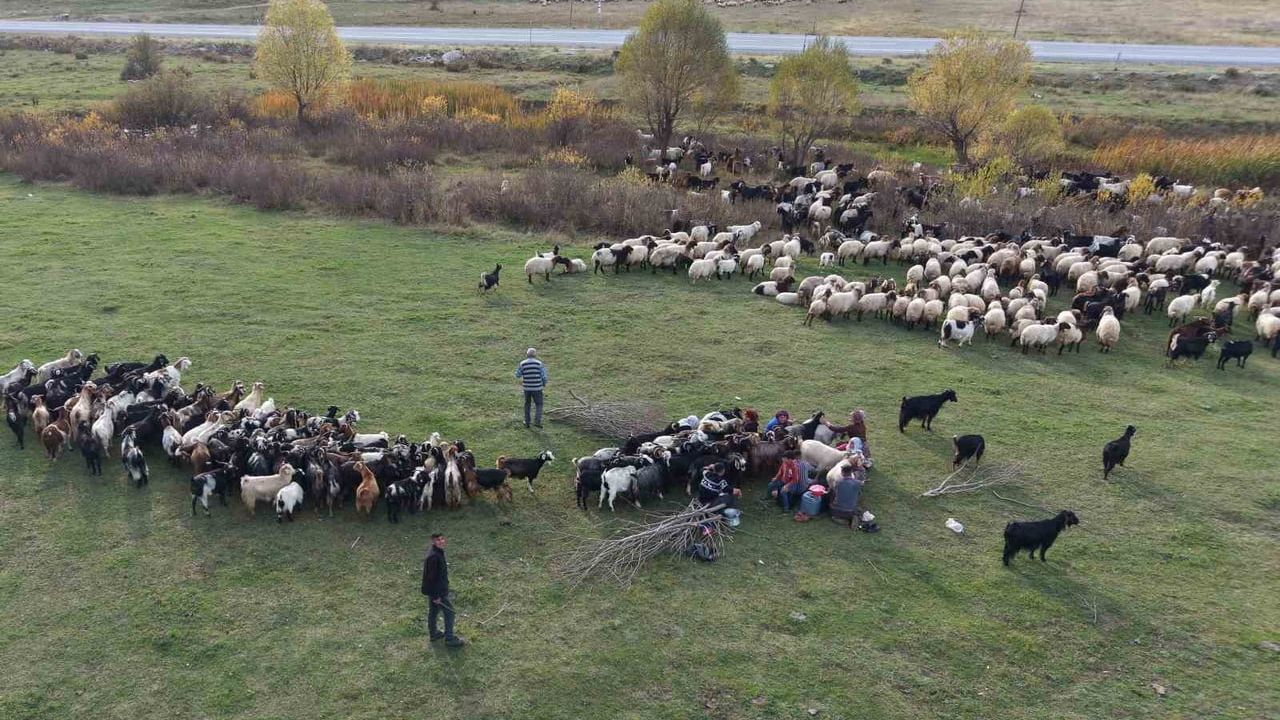 Göçerlerin uzun yolculuğu: Van'dan Siirt'e kışa dönüş
