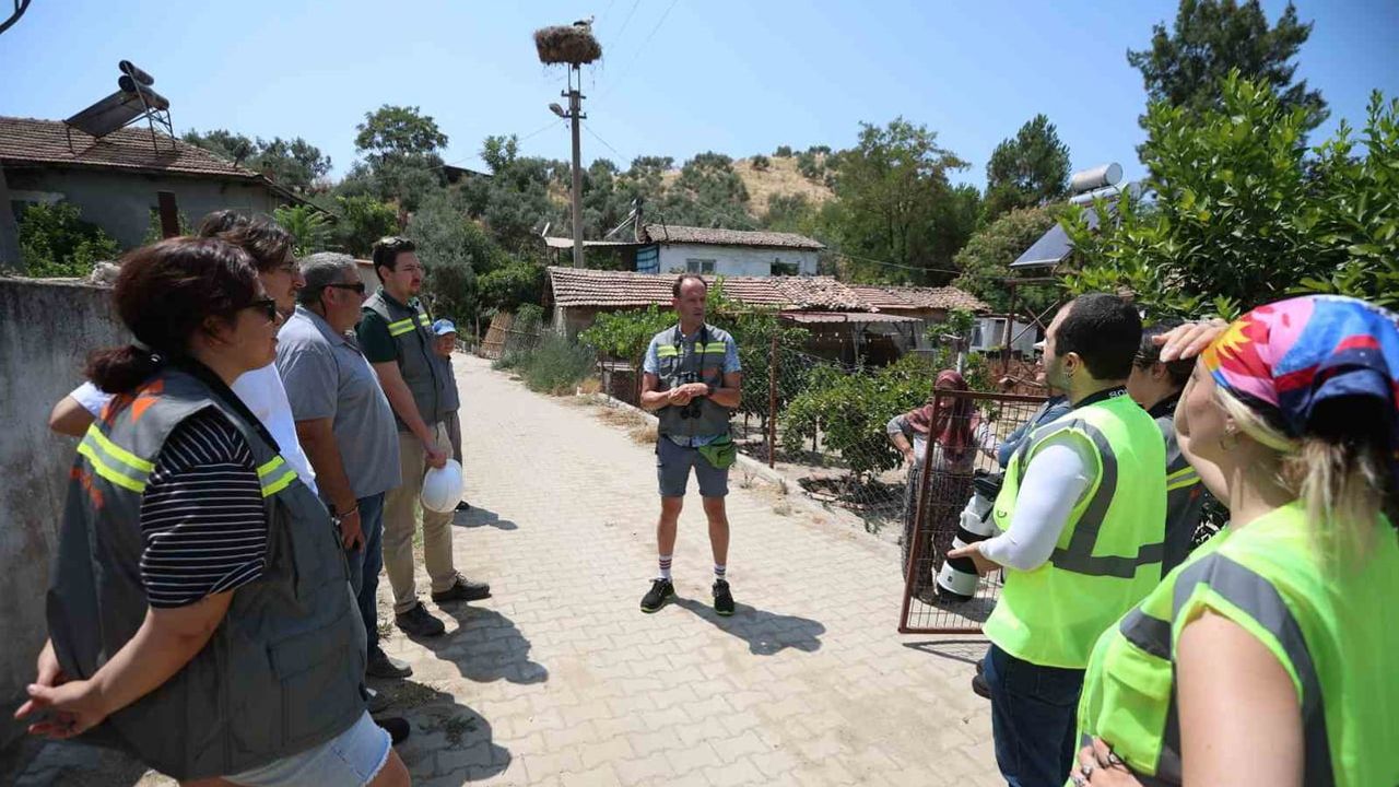 Göçmen kuşlara güvenli gökyüzü için hatlarda bilim temelli önlemler