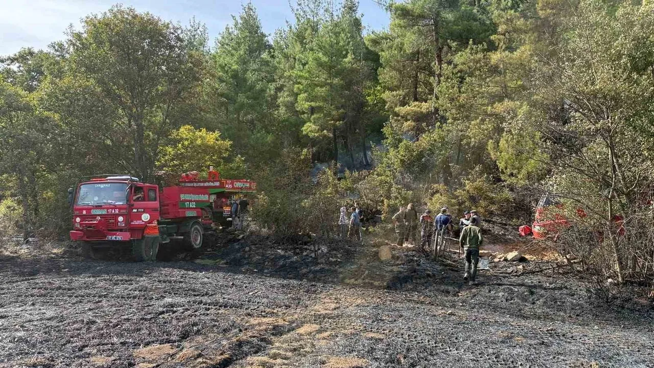 Göle köyünde başlayan tarla yangını ormana sıçradı, 19 dönüm zarar gördü