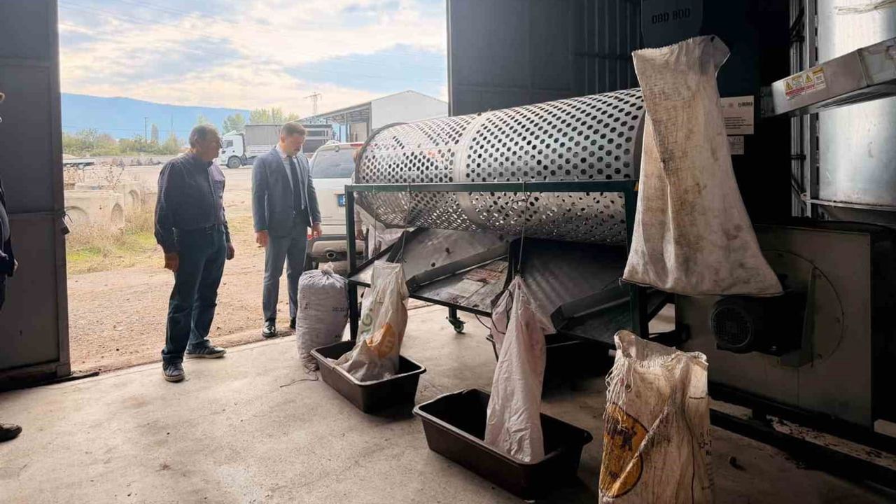 Gölpazarı'nda yılda 400 ton ceviz kurutan tesis üreticinin gelirini koruyor