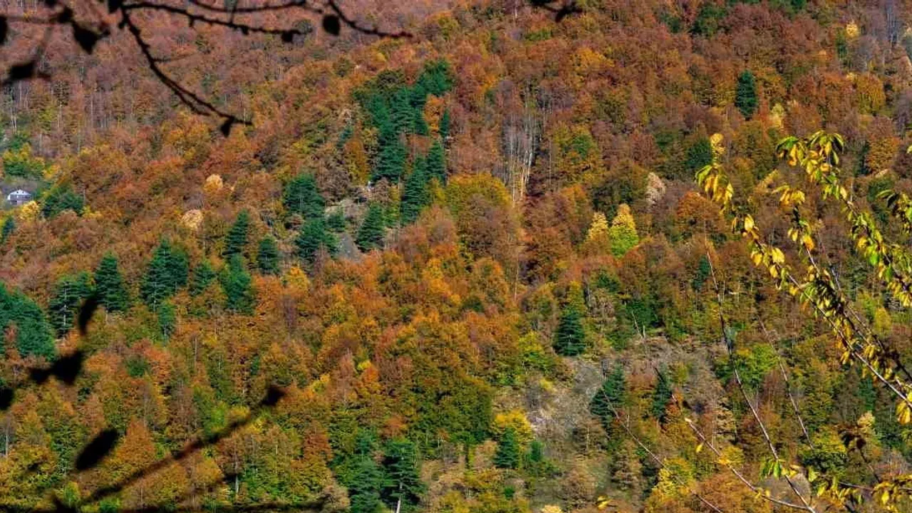 Gölyaka'da 120 metrelik düşüş: Güzeldere Şelalesi sonbaharın renk paletini sergiliyor