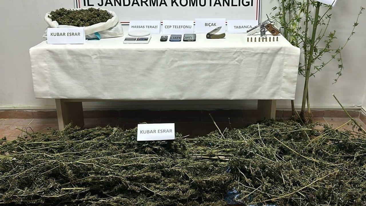 Gümüşova'da eş zamanlı operasyonda kubar esrar ve kenevir ele geçirildi