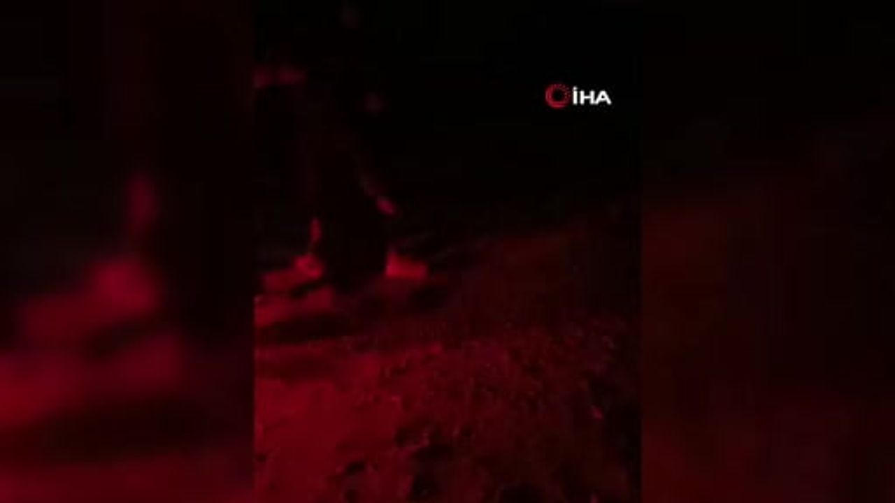 Güney Suriye'ye yönelik hava saldırısında beş sivil öldü, iki kişi yaralandı