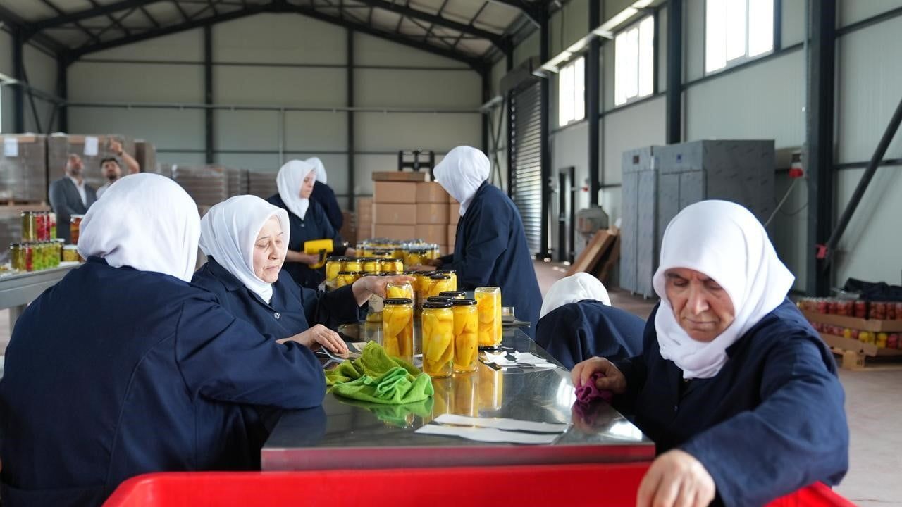 Gürsu ovasında kadın eliyle kurulan yeni turşu atölyesi