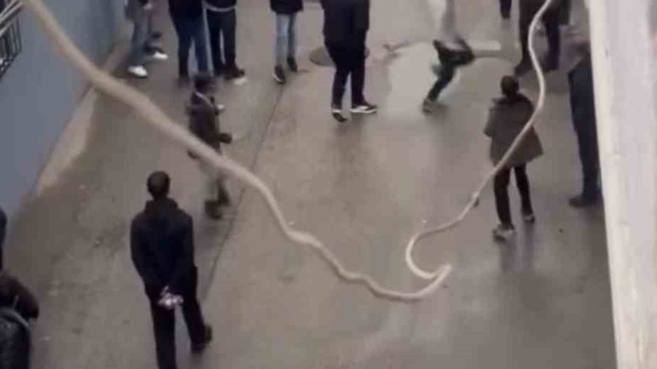 Hacivat'ta arbede: mahalleli şüphelileri kaçırdı, polis havaya ateş açtı
