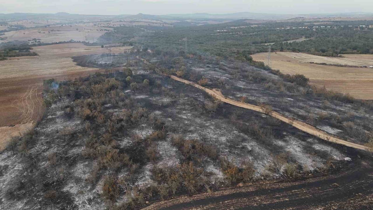Hanlıyenice'de anız yangını: kaplumbağalar ve yabani hayvanlar etkilendi