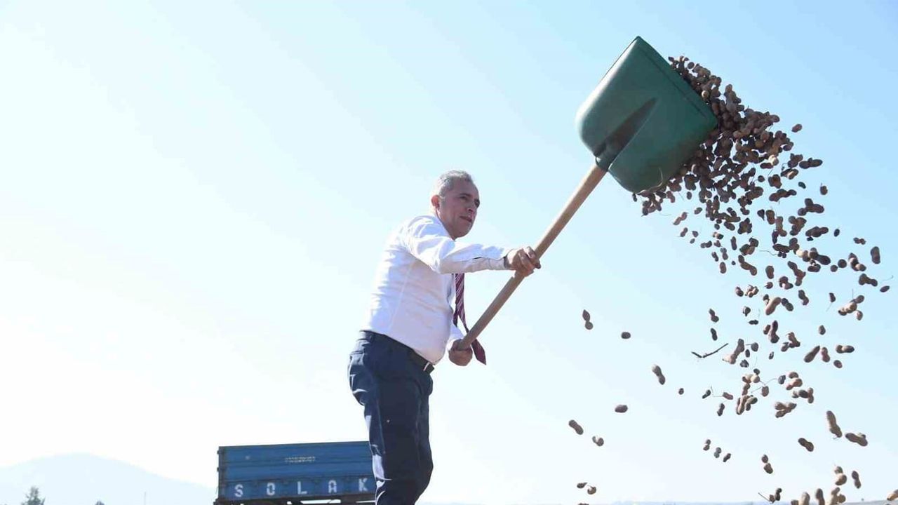 Hasadı festival coşkusuna dönüştürdü: İbrahim Çenet çiftçilerle sahadaydı