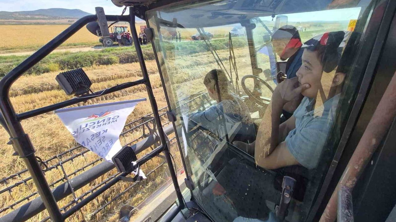 Hasat tarlasından sınıfa: Keşanlı gençler çeltik üretimini sahada deneyimledi