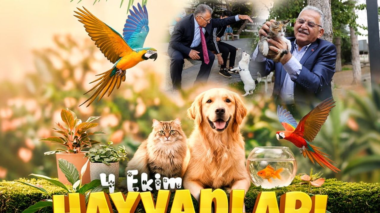 hayvanlara saygı çağrısı: hayvanat bahçesi 4 ekimde ücretsiz
