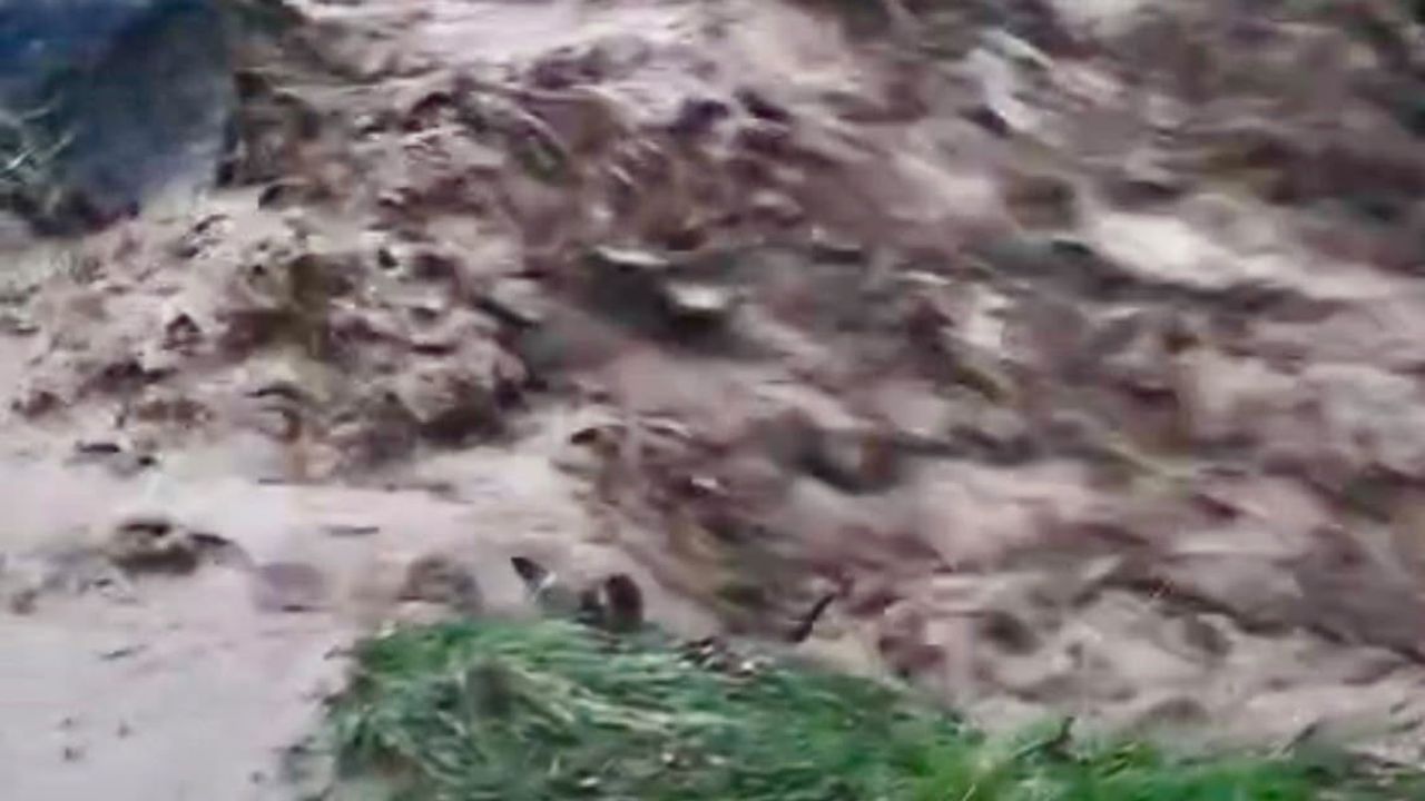 Hekimhan’da kırsalı vuran sağanak, Yeşilpınar'ı su basmasına yol açtı