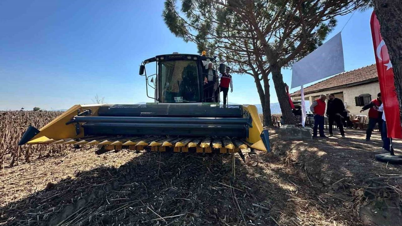 Hibe destekli ayçiçeği tohumları Koçarlı'da bereketle hasat edildi